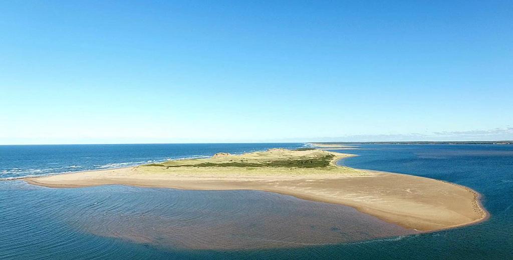 Blackbush Beach Resort Covehead Exterior photo